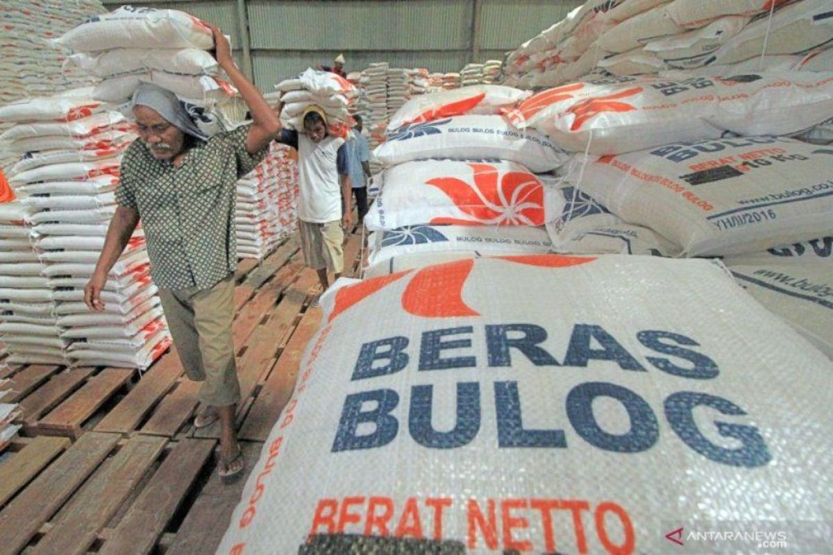 Bulog Riau jamin ketersediaan beras aman hingga Natal
