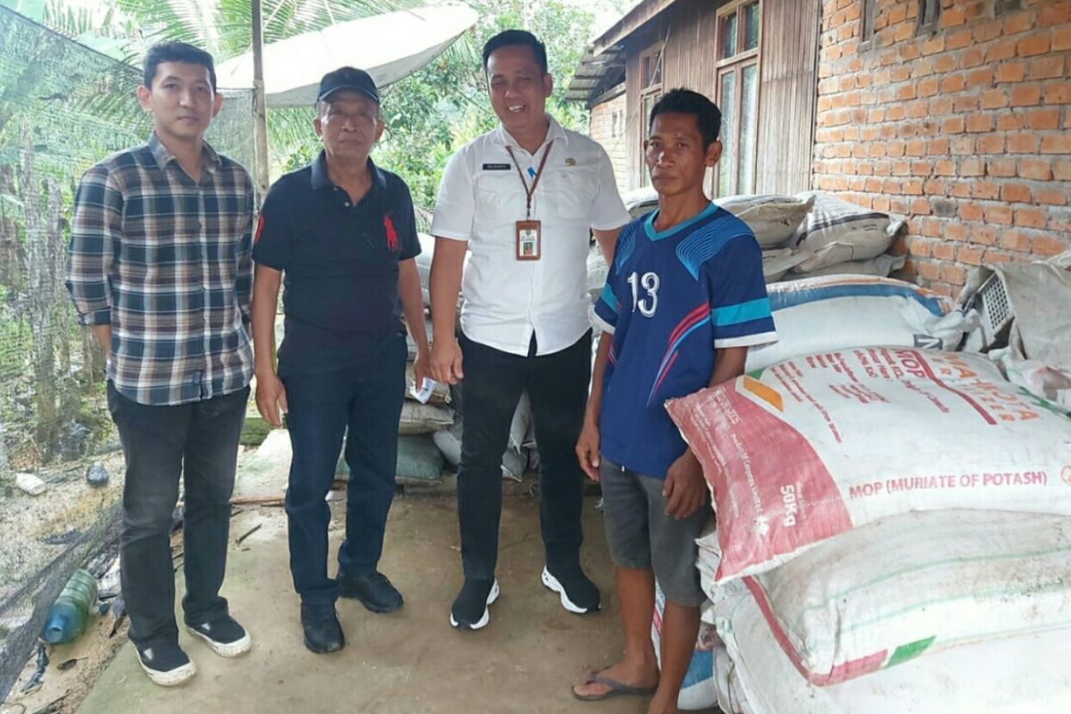 Disbun Kaltim salurkan sarana produksi untuk  pekebun lada