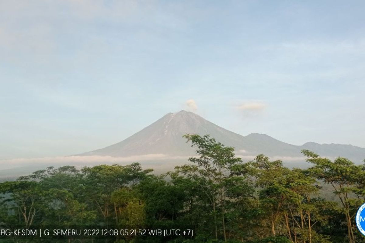 Gunung Semeru masih terus erupsi setiap hari