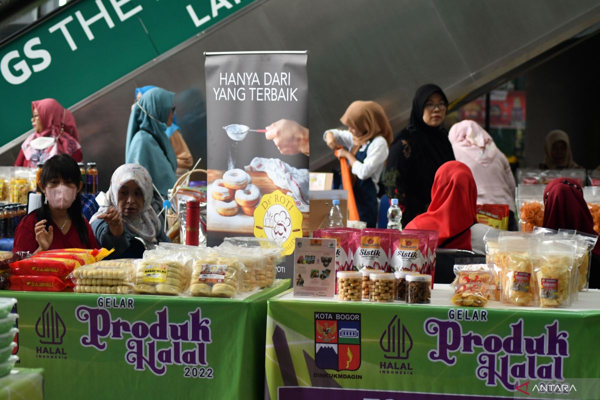 Halal industry's potential to boost the Indonesian economy