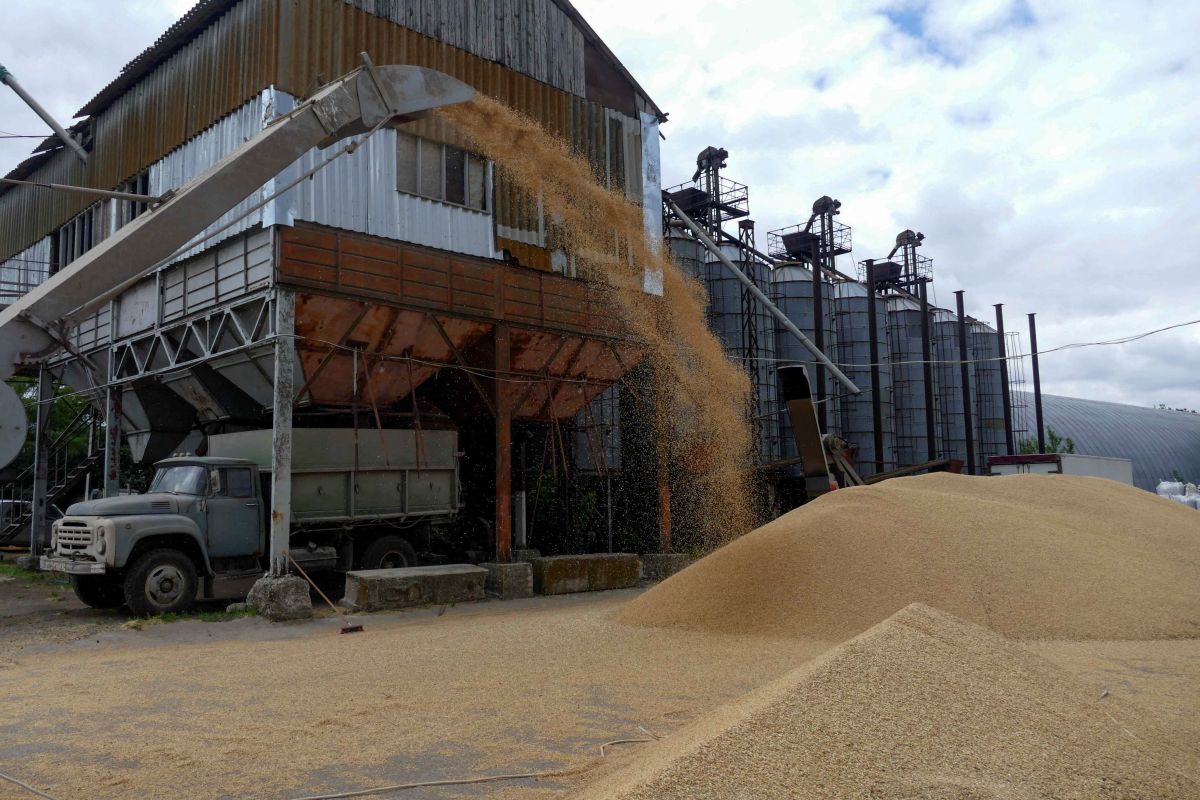 Ekspor gandum Rusia mendekati rekor tertinggi