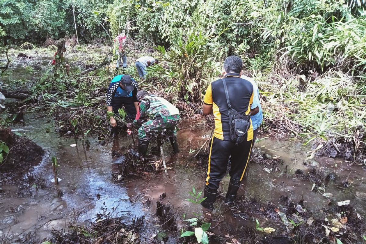 Koramil 1708-01/Biak Timur ikut terlibat penanaman mangrove