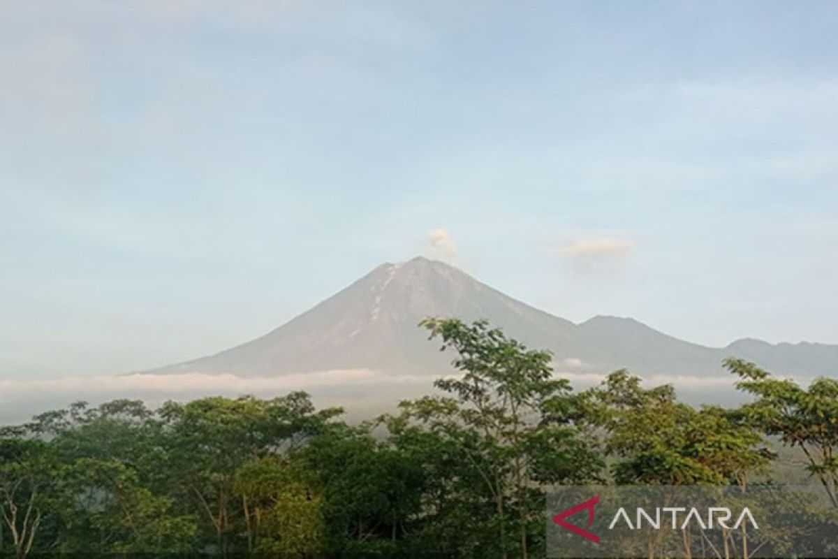 Gunung Semeru masih terus erupsi setiap hari