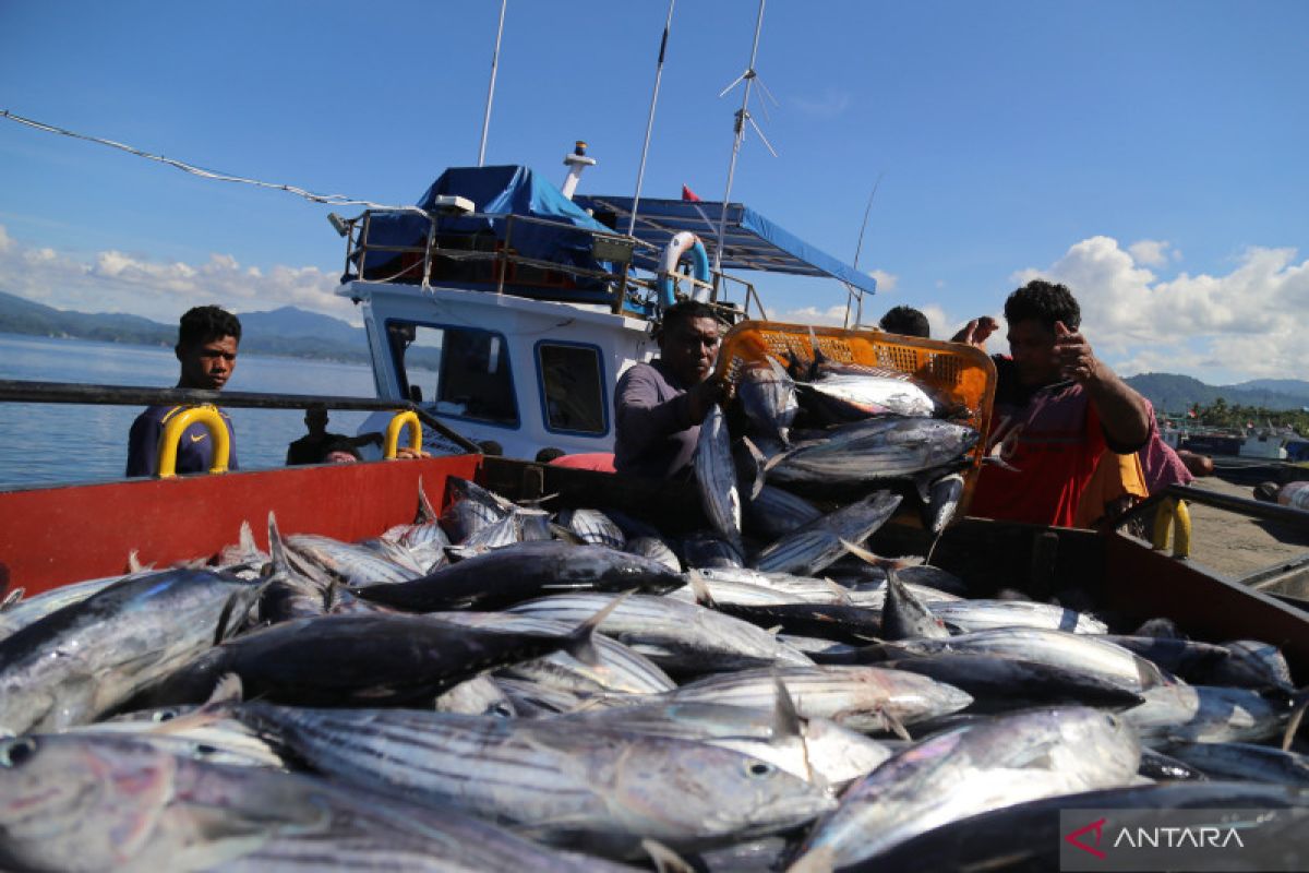 Iskindo: Perikanan masih jadi tulang punggung ekonomi biru hingga 2029