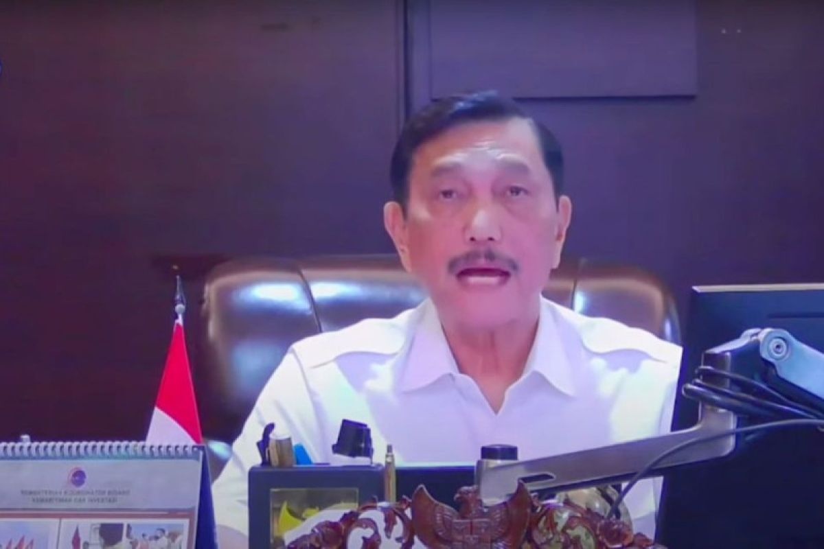 Luhut ungkap tahun depan Gernas BBI akan dimasifkan dengan BBWI