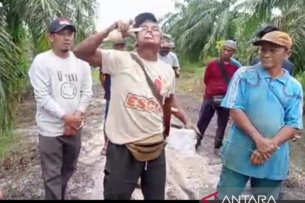 Kesal dengan PT DSI, petani Siak mengaku kader Gerindra nekat makan bola lampu