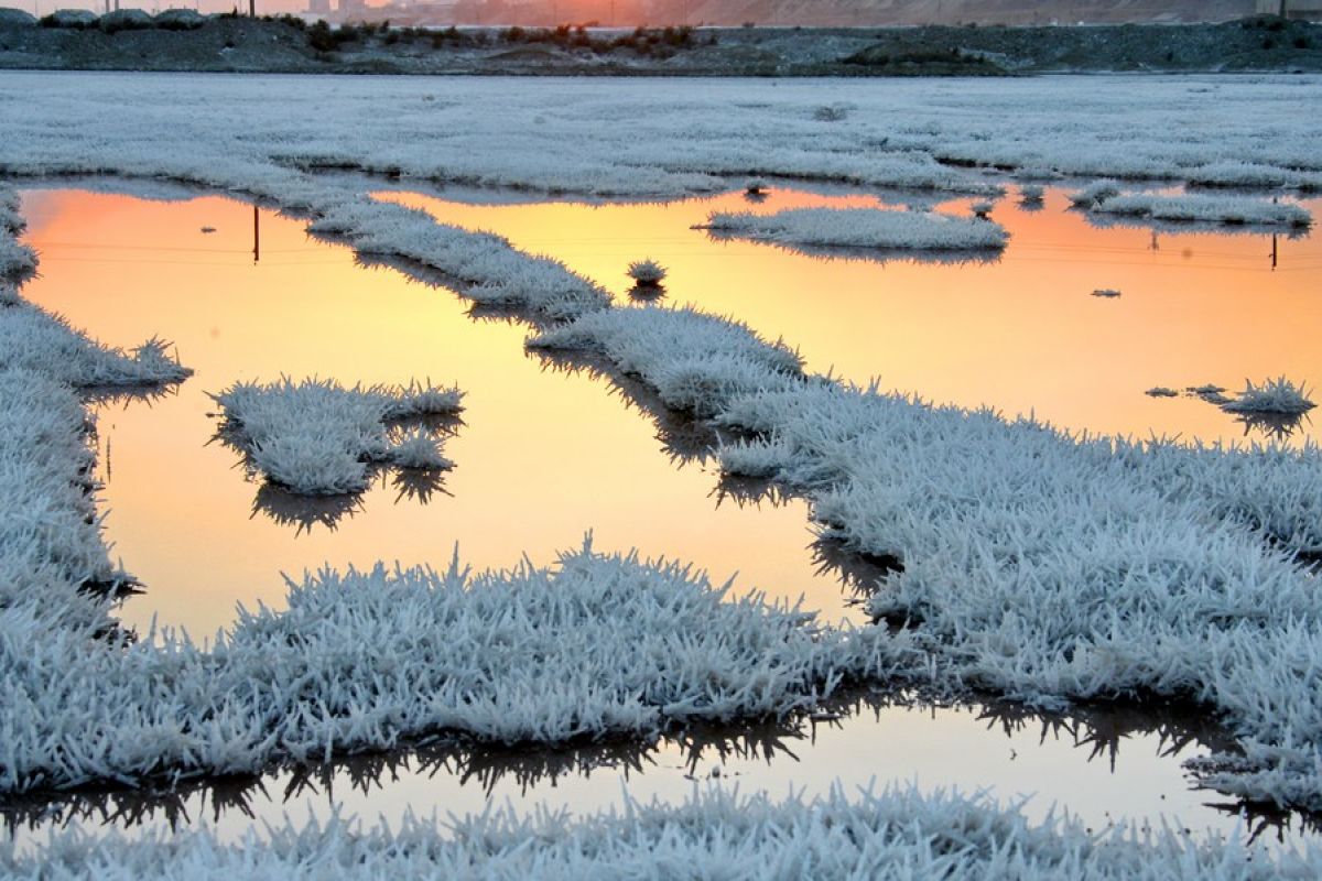 "Bunga mirabilite" mekar pada permukaan danau garam di China utara
