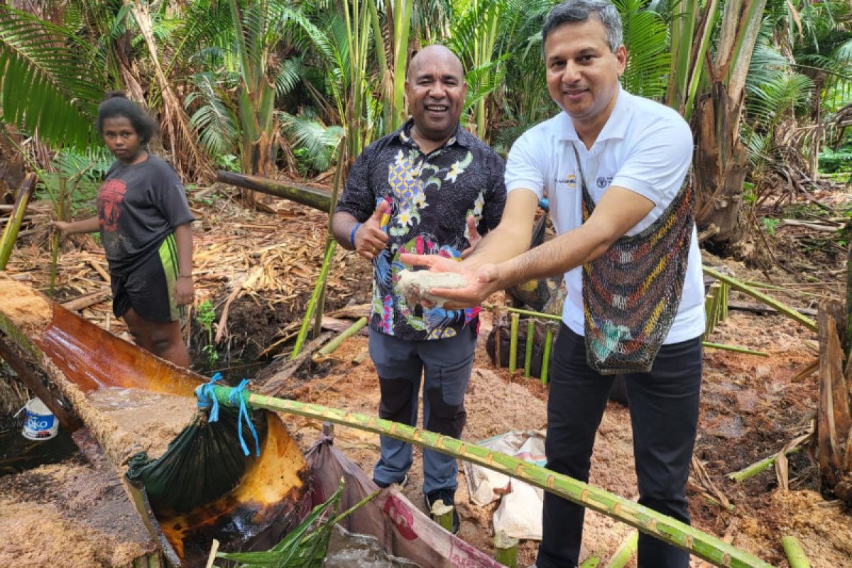 FAO jajaki kerja sama pengembangan pangan lokal di Papua