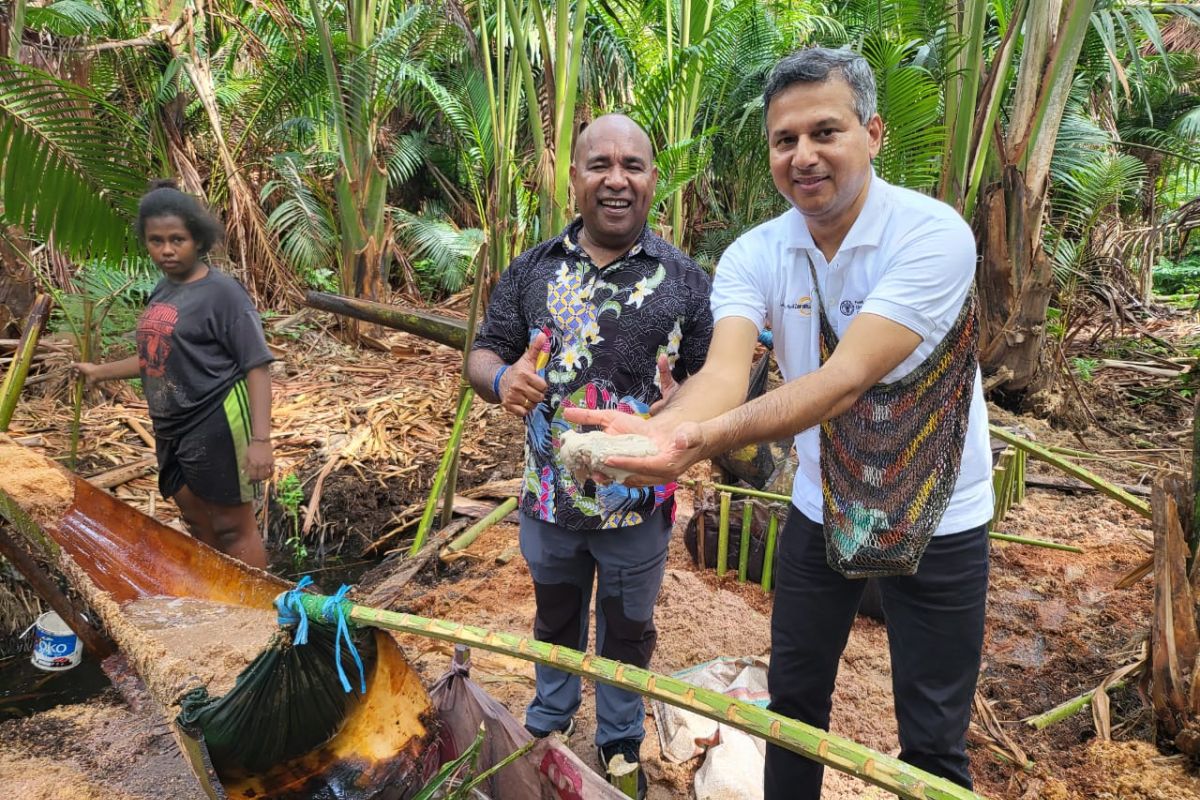 FAO seeks potential cooperation to support Papuan farmers