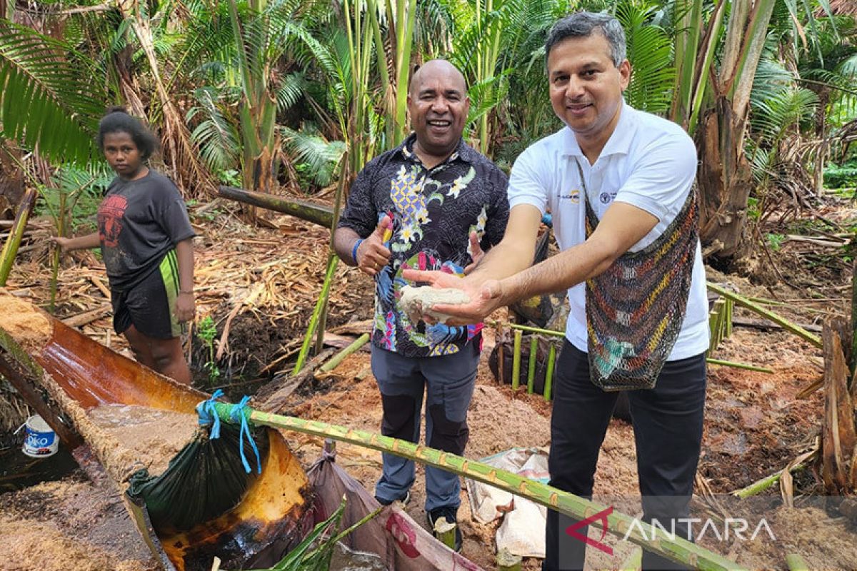 FAO spotlights importance of forests and efforts to protect them