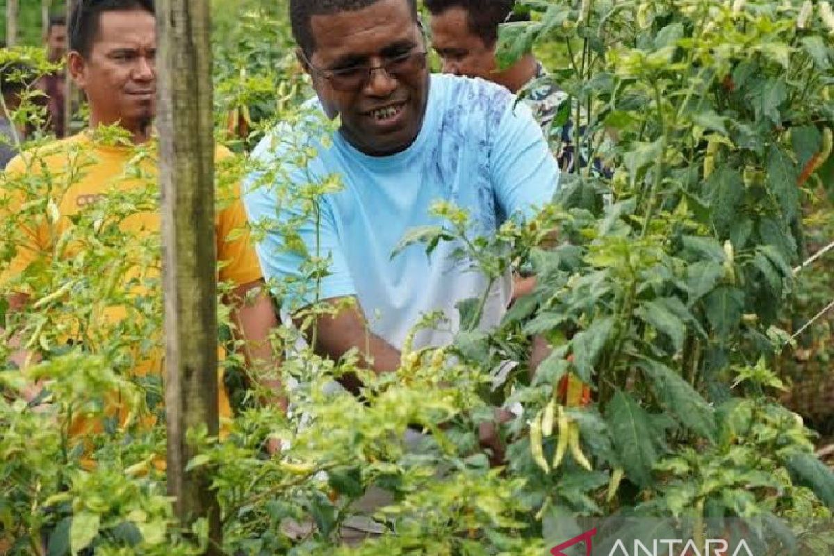 Pemkab Biak perkuat kebutuhan pangan lokal pada 2023