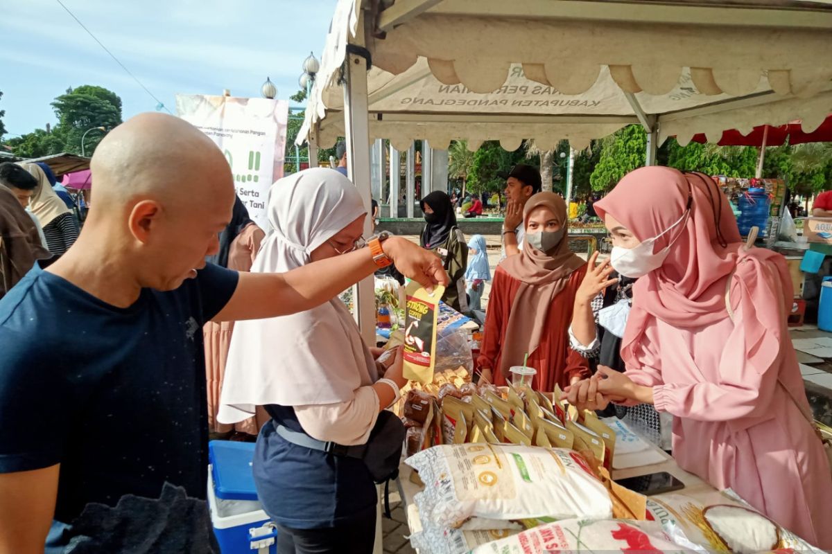 Kepala DPKP Pandeglang dorong masyarakat beli produk petani lokal