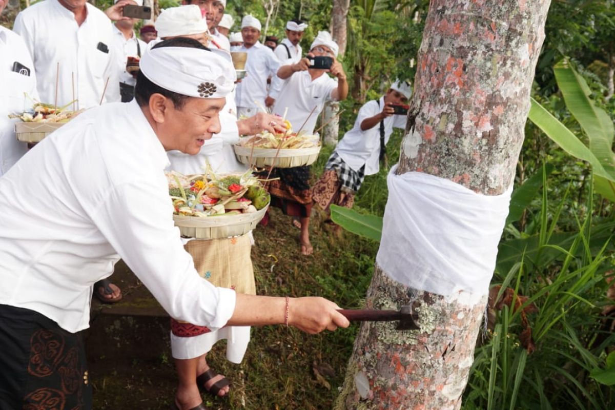 Pemkab Karangasem tanam pohon sebagai rasa syukur ke alam