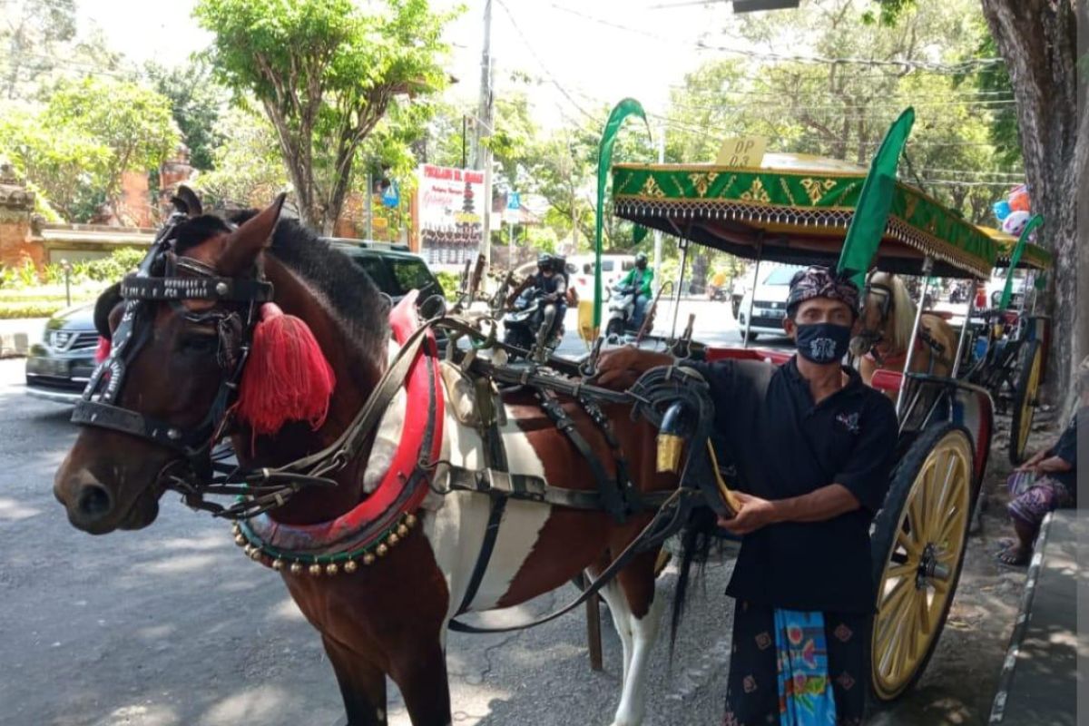 Dispar Denpasar siapkan dokar hias gratis untuk tur dalam kota