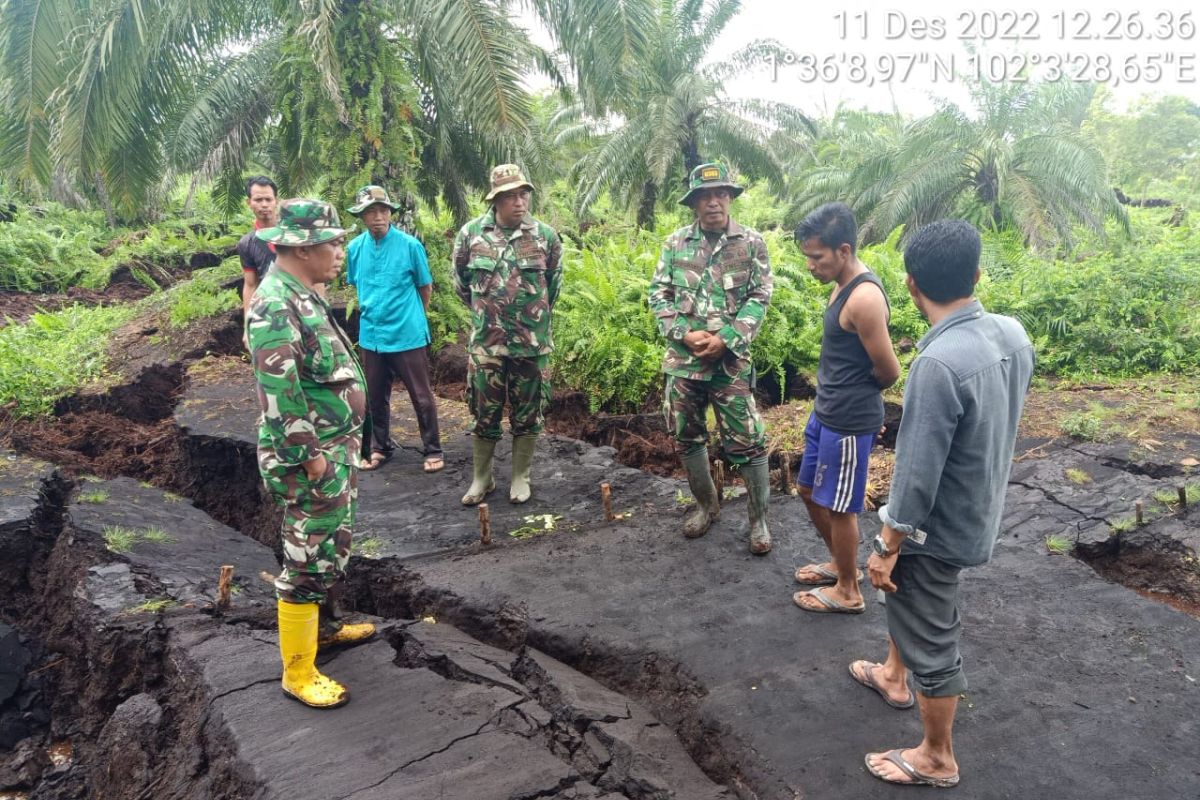 Ribuan hektare lahan perkebunan di Bengkalis amblas