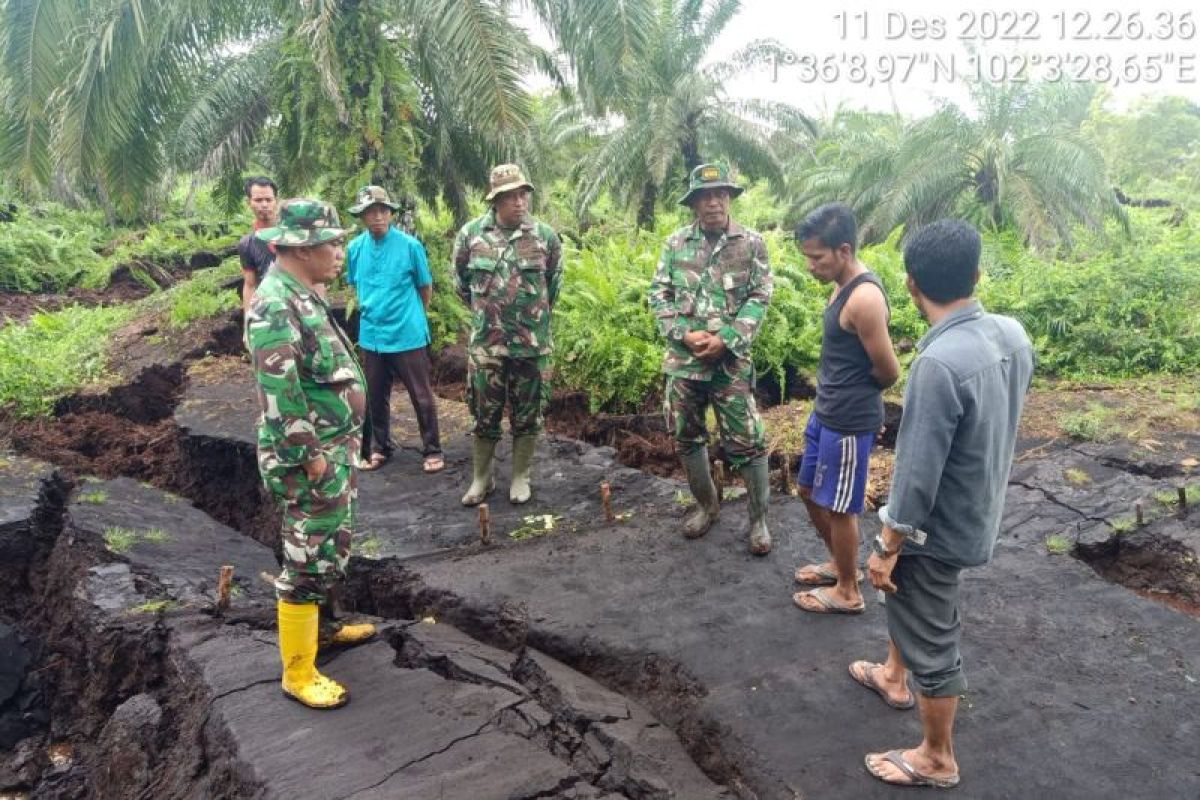 Ribuan hektare lahan perkebunan di Bengkalis Riau amblas