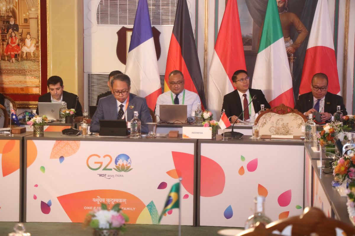 RI dorong pembentukan pokja baru dalam Presidensi G20 India