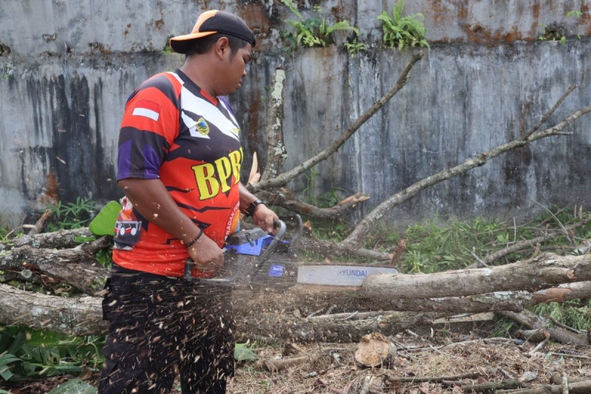 TRC BPBD Kota Palangka Raya sisir pohon rawan tumbang