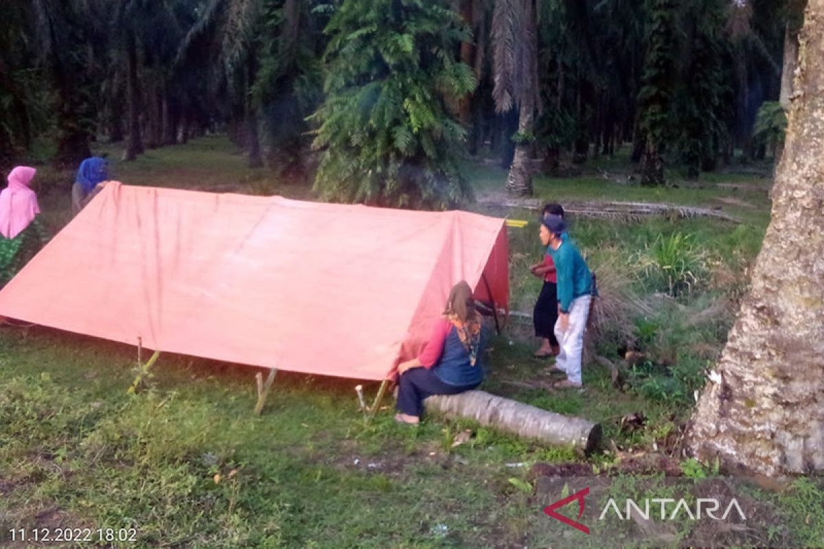 Tambang pasir besi beroperasi, warga Pasar Seluma kembali dirikan tenda