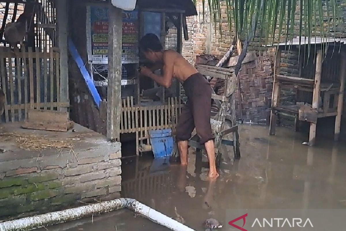 Tujuh Kecamatan di Deliserdang terendam banjir, ternak ayam warga mati