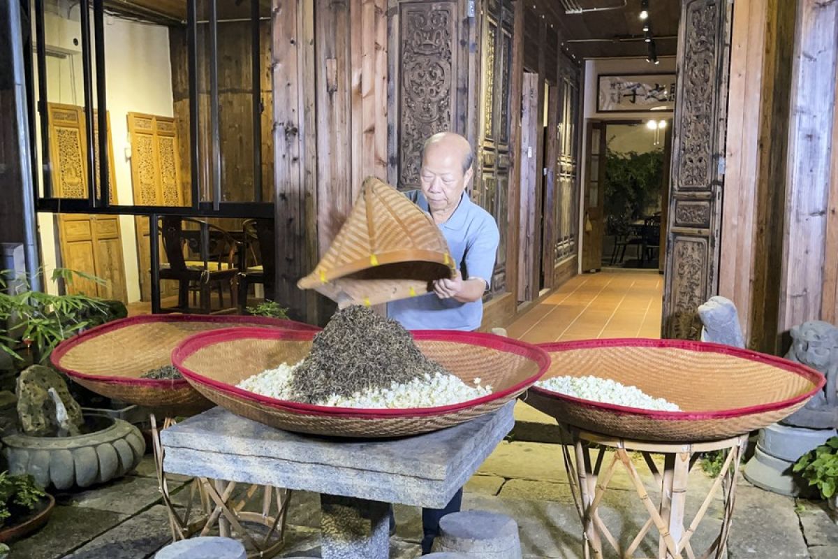 Menilik pembuat teh melati dan teknik pengharumannya di Fuzhou, China