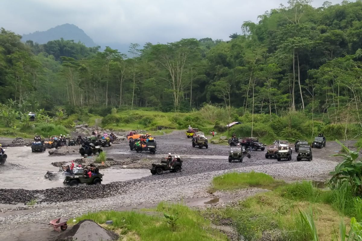 At least 1,000 jeeps to provide Mt Merapi tour