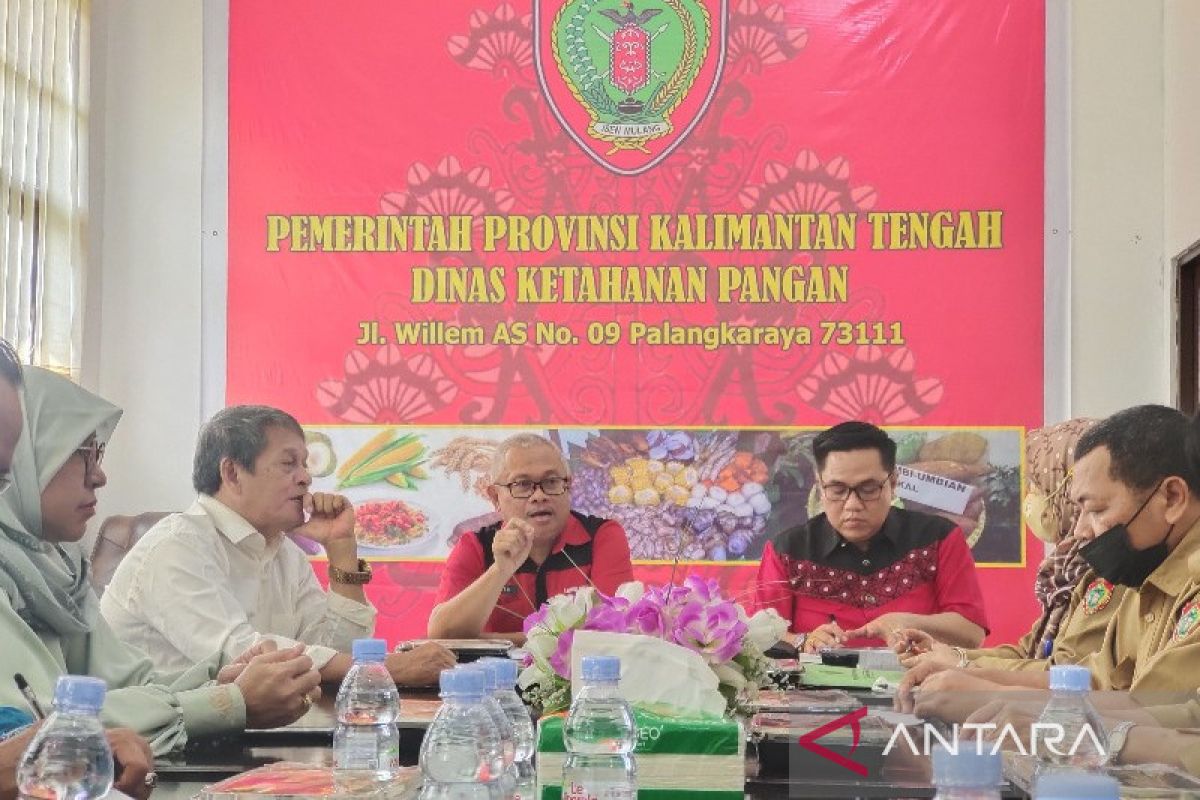 Pemprov Kalteng dorong kabupaten/kota miliki Perda Cadangan Pangan