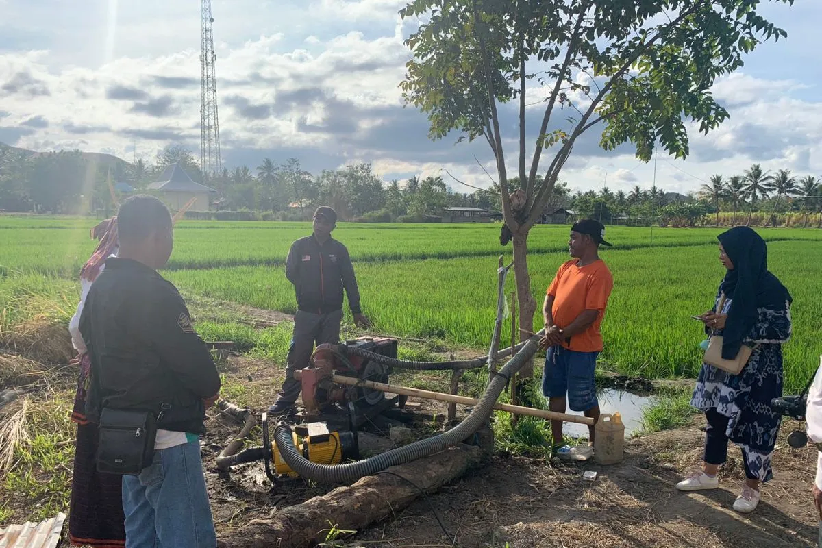 PLN NTT alirkan listrik dukung usaha pertanian di Sikka