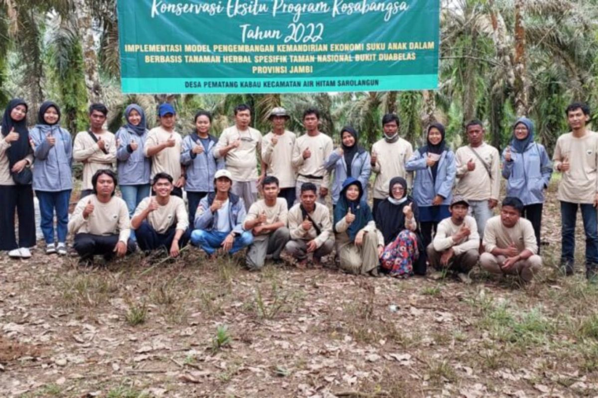 Unja-Undip kolaborasi berdayakan Suku Anak Dalam melalui tanaman obat herbal