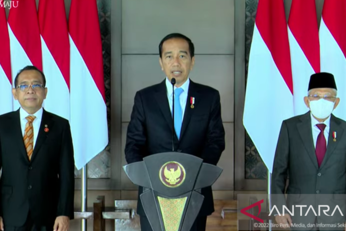 Presiden Jokowi terbitkan Perppu Pemilu di empat provinsi baru di Papua