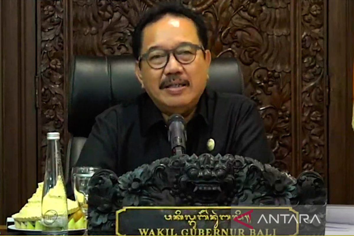 Wagub Bali bantah pembatalan wisman datang akibat pengesahan KUHP