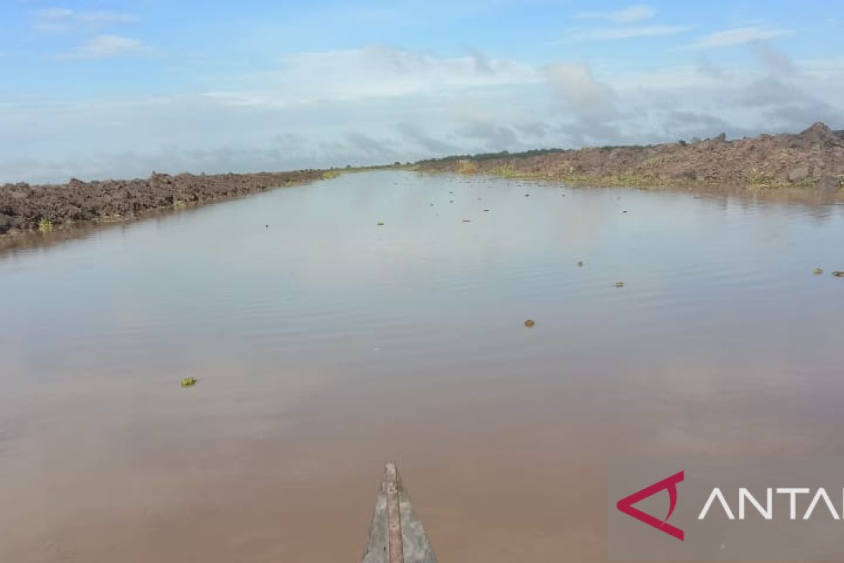 Ketua DPRD Kalsel : normalisasi sungai salah satu upaya kendalikan banjir