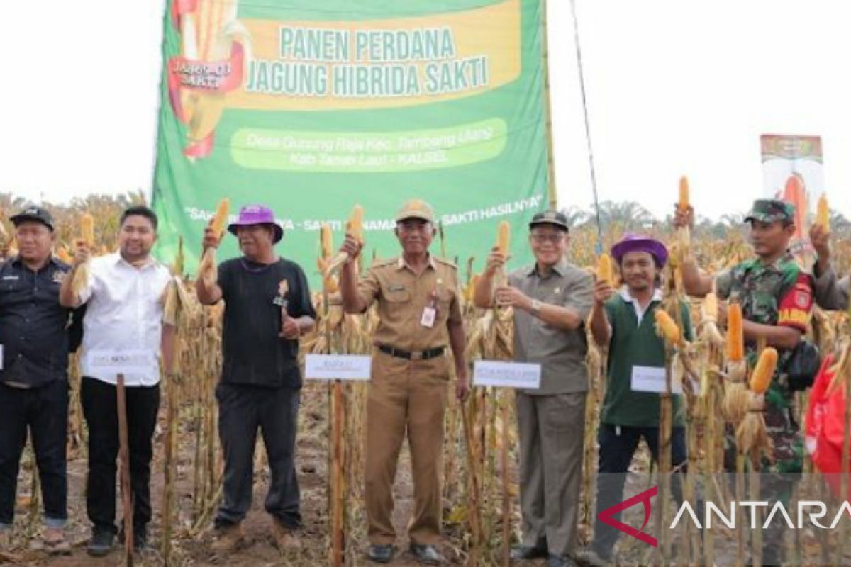 Staf Ahli apresiasi kelompok Tani Sinar Harapan I