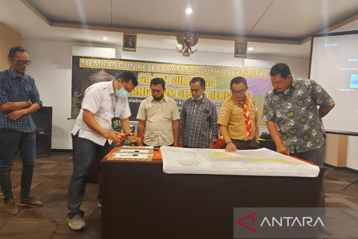 Dua perusahaan setujui konektivitas jalur gajah di Bengkulu