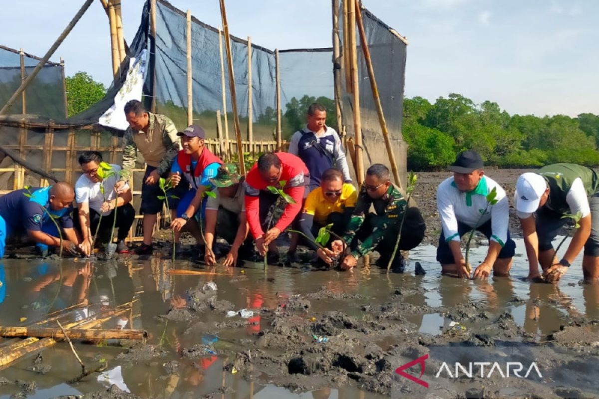 TNI dan Polri tanam 2.000 mangrove untuk lestarikan pantai Bali
