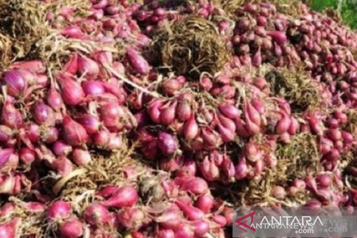 Pemprov Bangka Belitung tambah pasokan bawang merah 25 ton