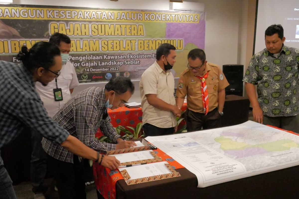 Forum KEE Bengkulu tetapkan koridor gajah di Bentang Seblat
