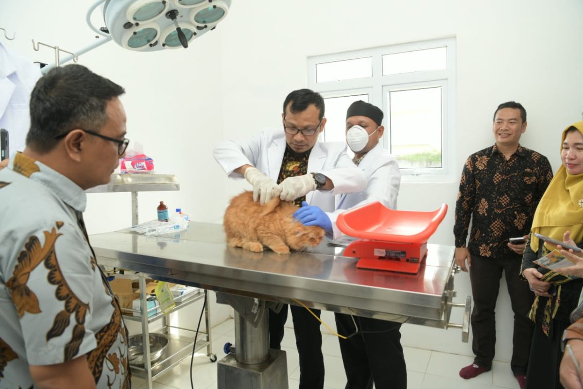 Aceh launches veterinary clinic, hotline for FMD crisis center