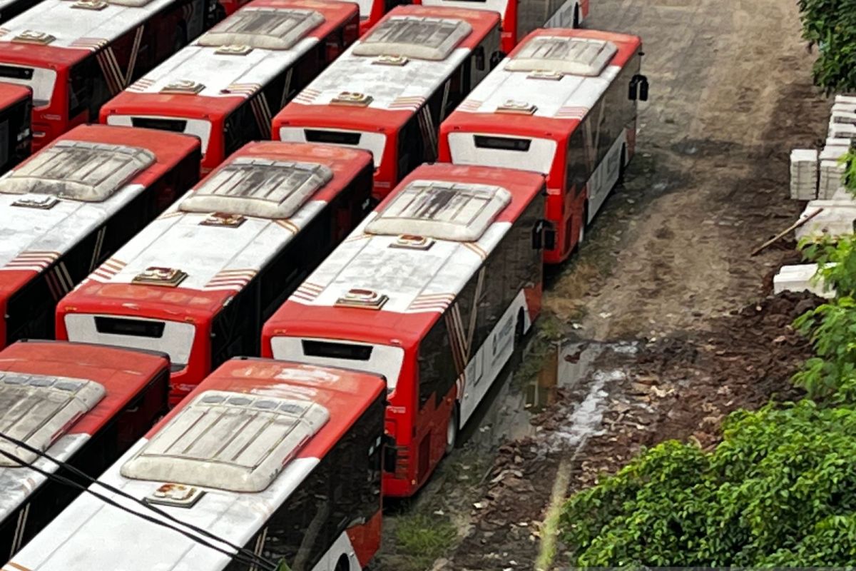 Dishub DKI Jakarta sebut puluhan bus TransJakarta tidak mangkrak