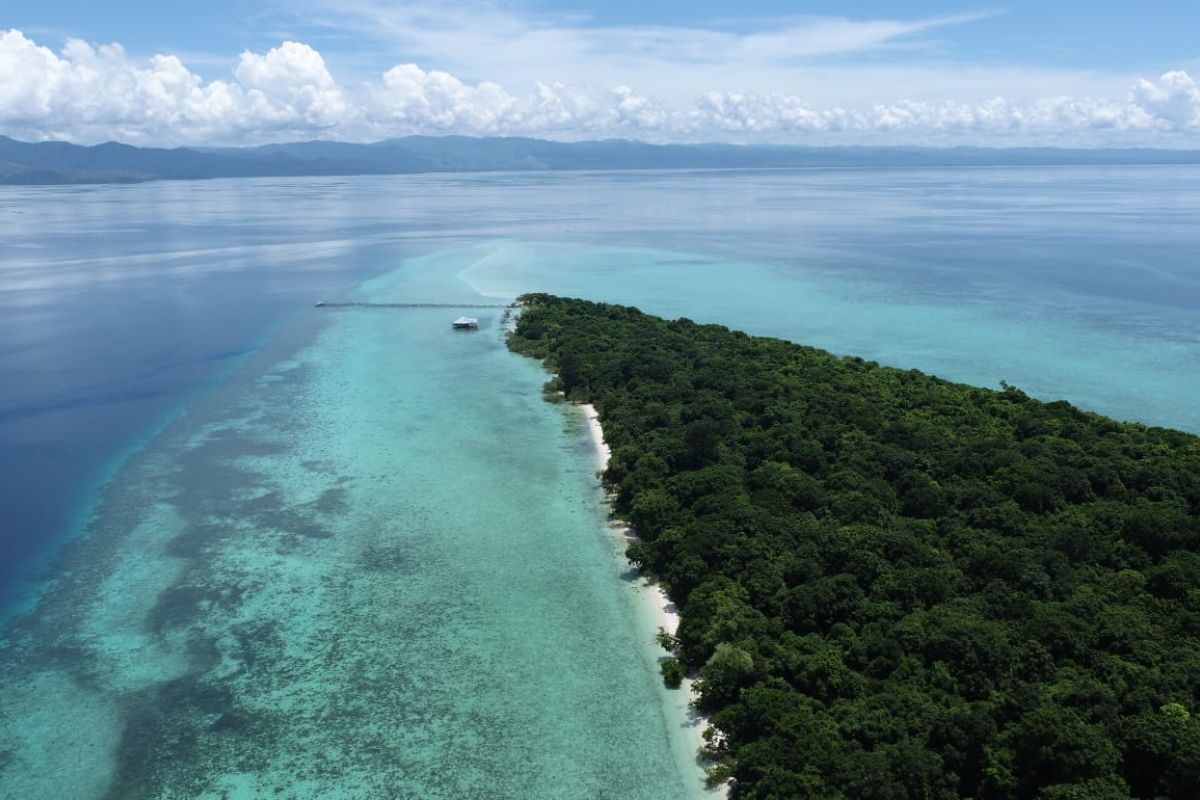 Pemkab SBB - BKSDA menjajaki kerjasama pengelolaan Pulau Kasa