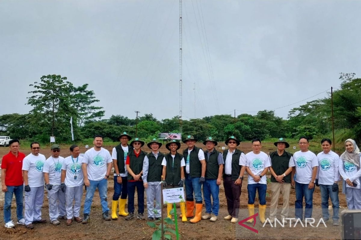 PJBI tanam ribuan pohon di area PLTA Batang Toru