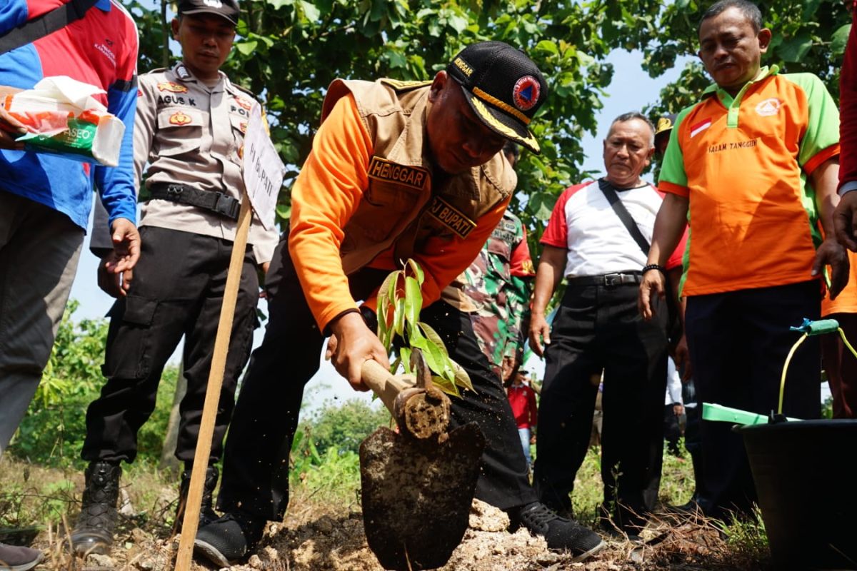 Cegah banjir, Pemkab Pati tanam 5.000 pohon di Pegunungan Kendeng