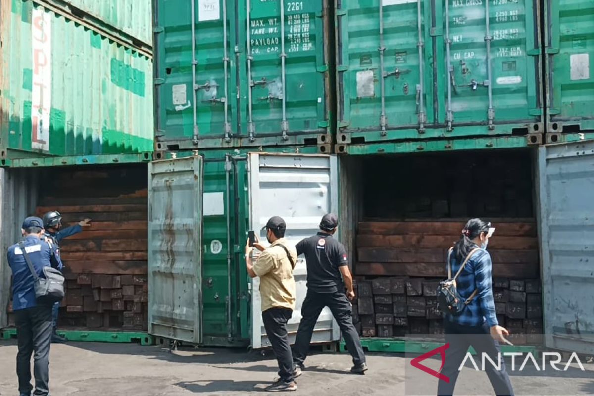 KLHK bongkar peredaran kayu ilegal sebanyak 57 kontainer asal Papua