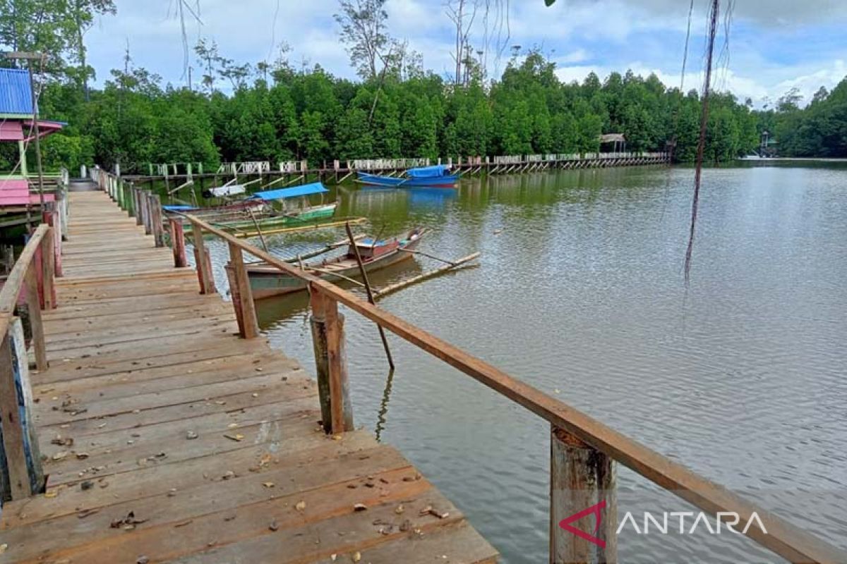 Simeulue kembangkan desa wisata mangrove