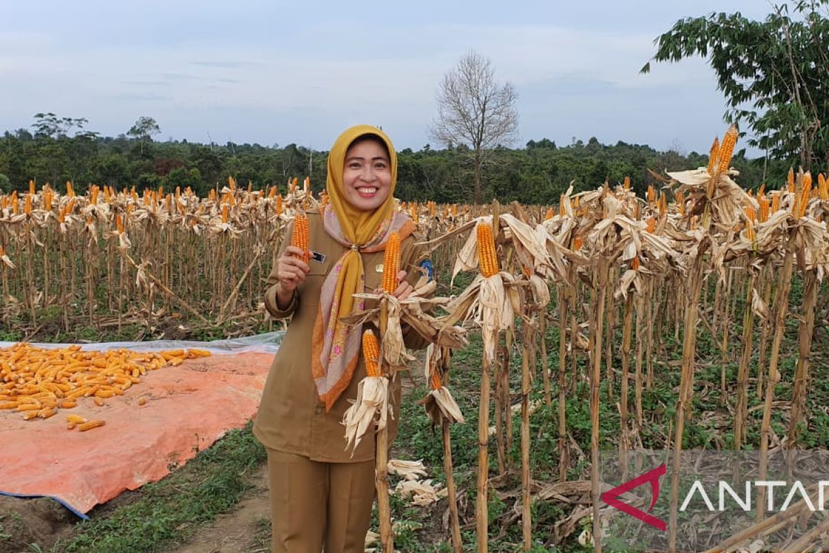 Penyerapan Dana Desa di Kepri pada 2022 capai 99,01 persen