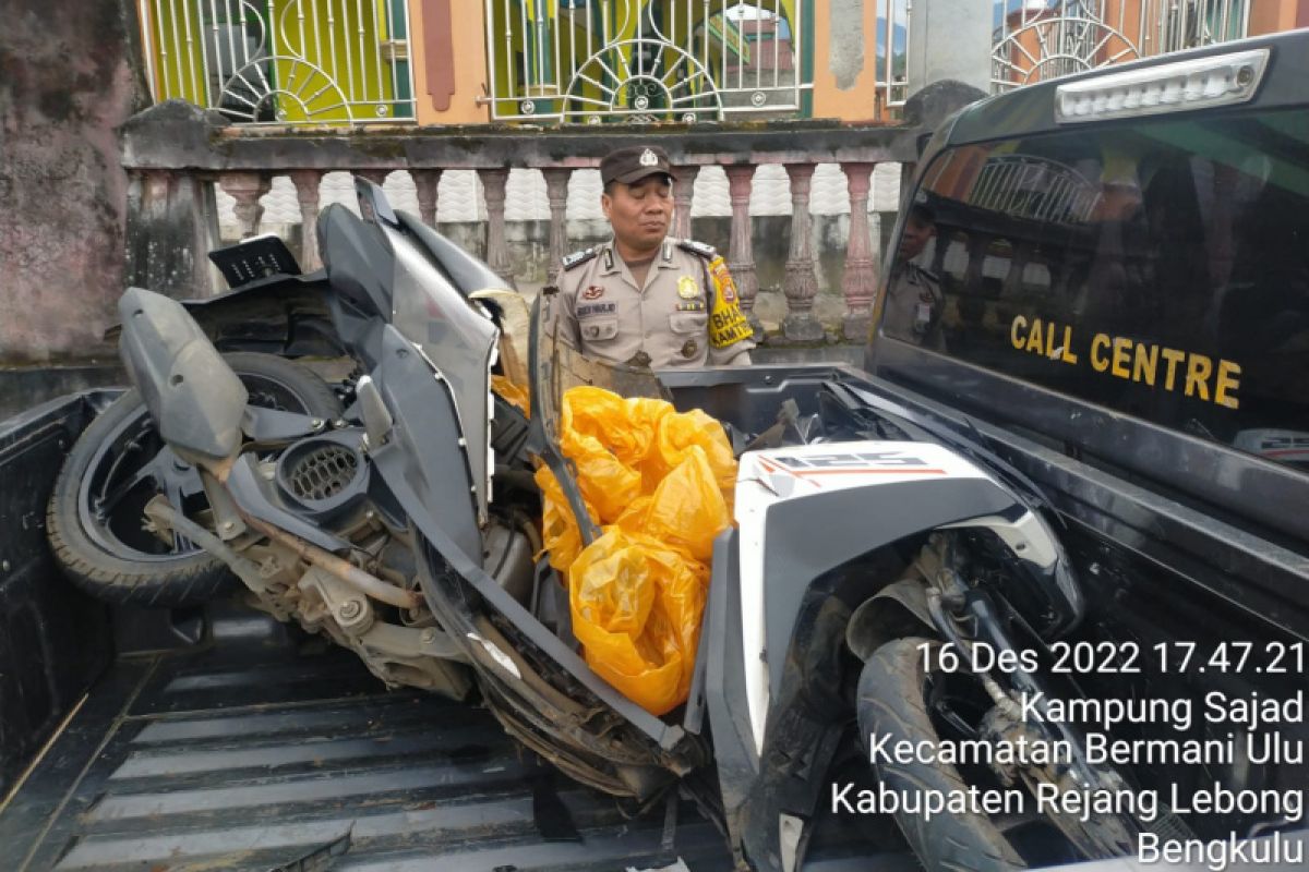 Pelajar SMA di Rejang Lebong tewas tertimpa pohon