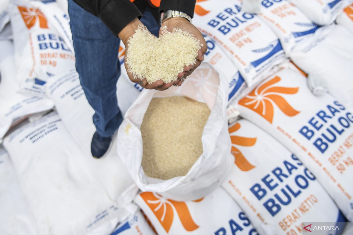 Bulog lepas 100.000 ton beras untuk operasi pasar, redam gejolak harga