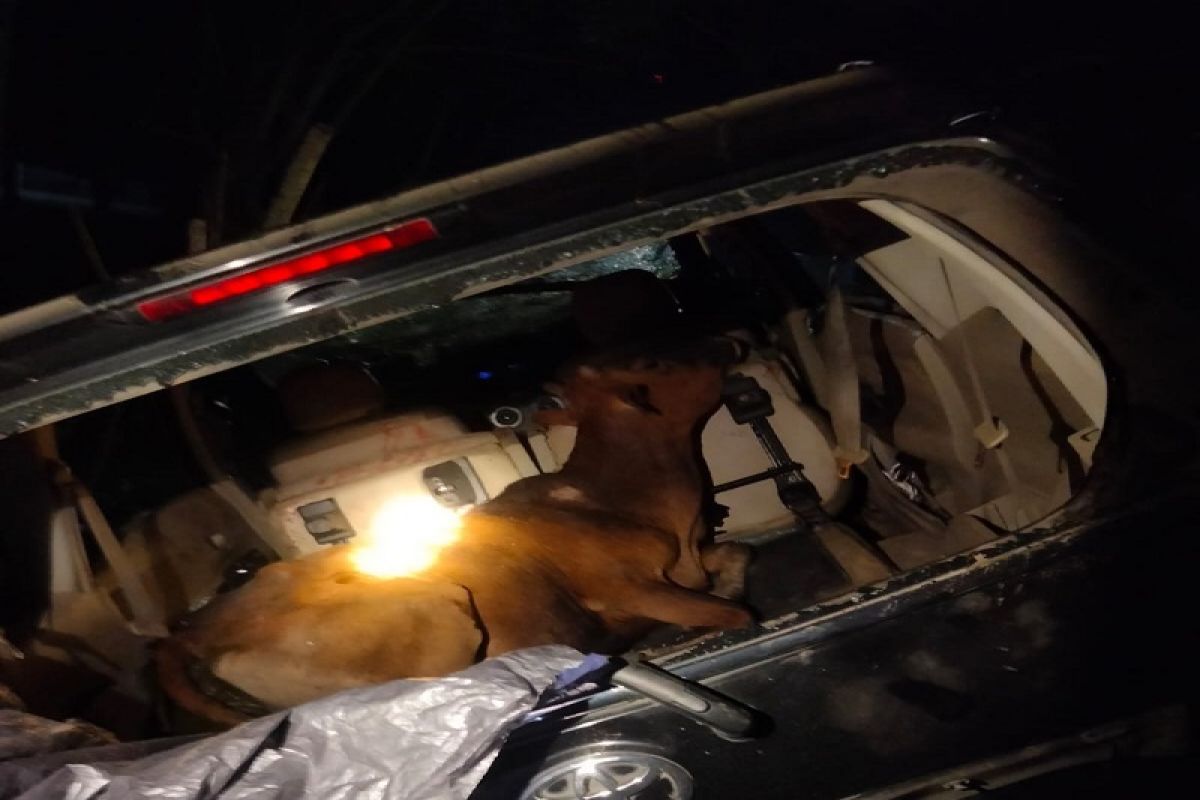 Warga bakar mobil komplotan pencuri sapi di Aceh Tamiang