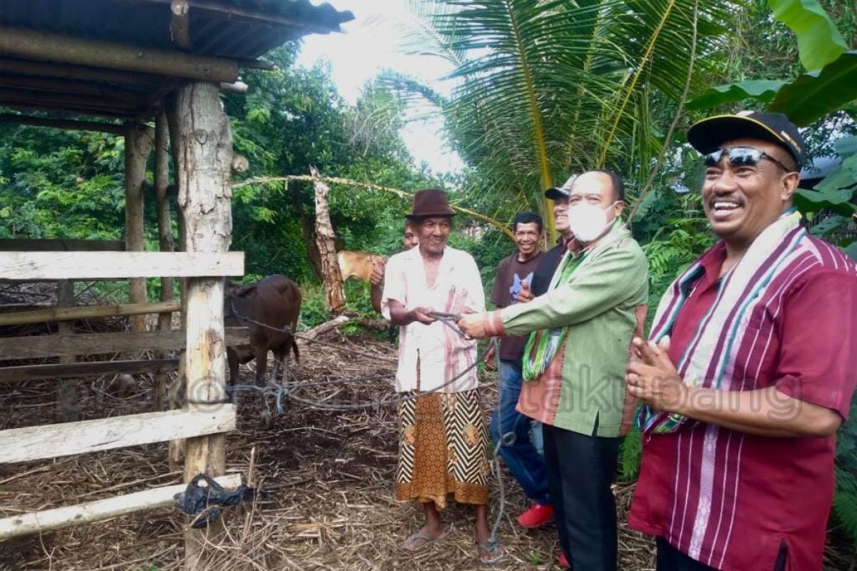 Pemkot Kupang salurkan bantuan 17 sapi untuk kelompok tani