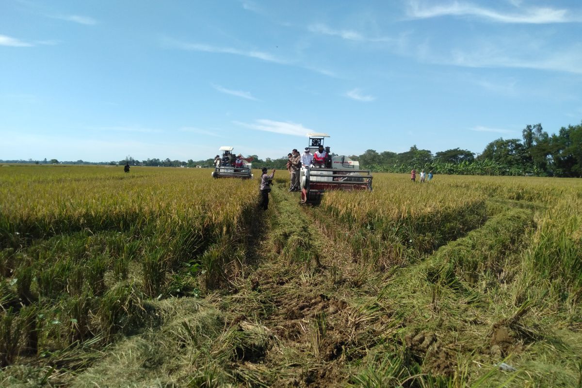 Karawang punya 19 gudang lumbung pangan masyarakat